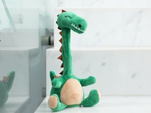 Interactive soft toys